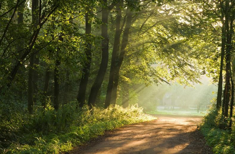 Nederland | Single Wandelreis Valkenburg | 4 dagen