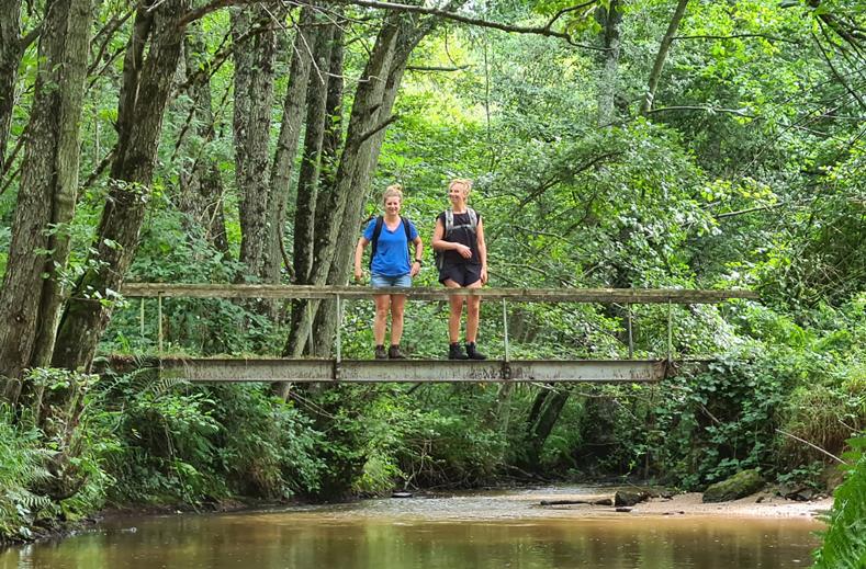 Frankrijk | Wandelvakantie Het Franse Pad | 7 dagen