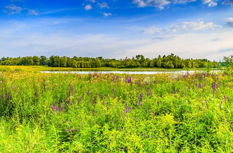 Nederland | Single Reis Wandelweekend Den Bosch Meierij | 3 dagen