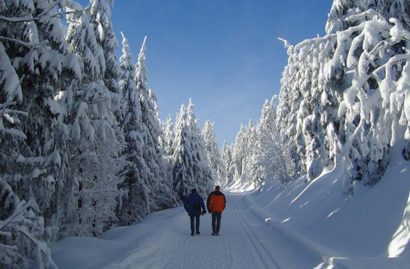 Duitsland | Zwarte Woud | Individuele Wandelreis | 4 dagen