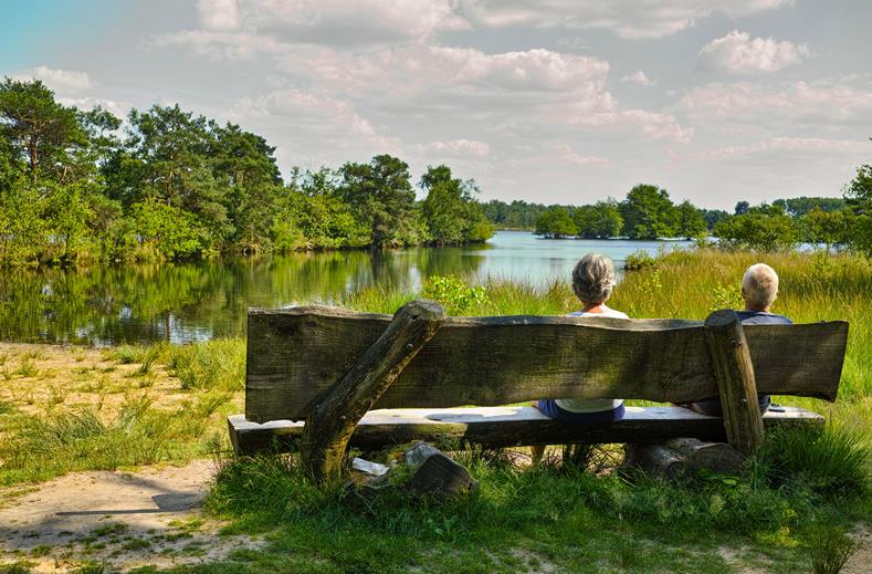 Nederland | Single Yogaweekend Loonse en Drunense Duinen | 3 dagen