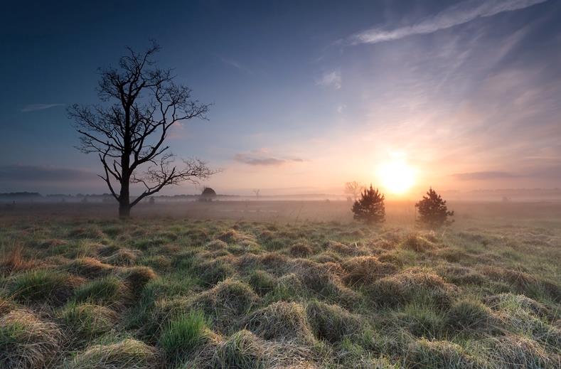 Nederland | Single Wandelweekend Loonse en Drunense duinen | 3 dagen