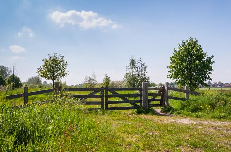 Nederland | Single Wandelreis Den Bosch Meierij | 3 dagen