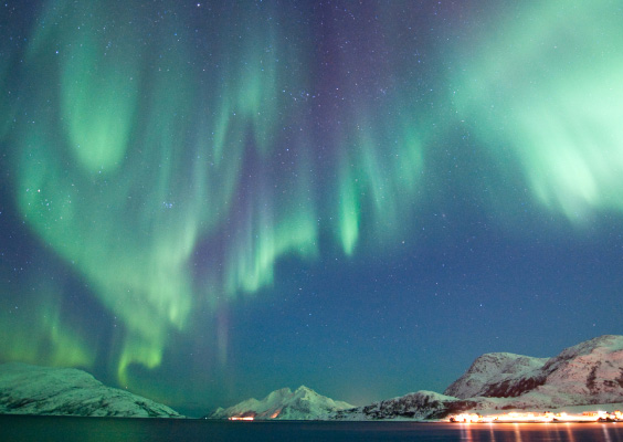 Noorwegen | Noorderlicht Tromsø en Sommarøy fly drive | 8 dagen